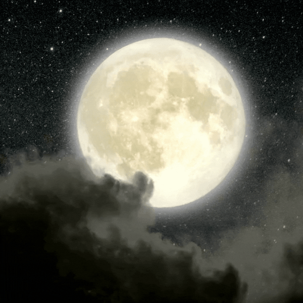 Stiže Dabrov mjesec u znaku bika