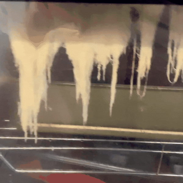 Vratila se s godišnjeg, a u pećnici je dočekao kaos! Ovo još niste vidjeli