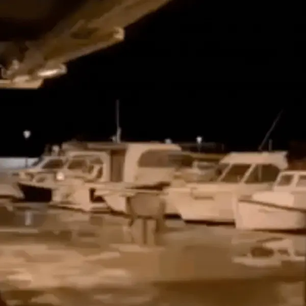 Nova turistička atrakcija u Vodicama! Pogledajte tko se šeće rivom