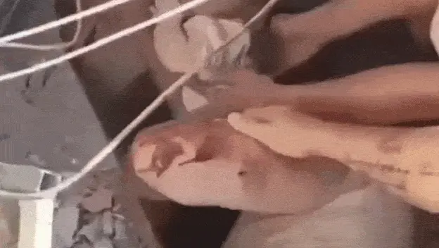 Beba i majka spašene nakon potresa u Kolumbiji
