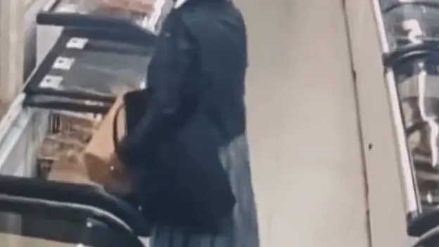 Gospođa pri krađi u trgovini