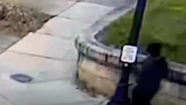 Osumnjičeni za pucnjavu na Brownu