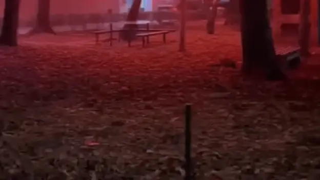 Neobična scena dekoracije u Nišu