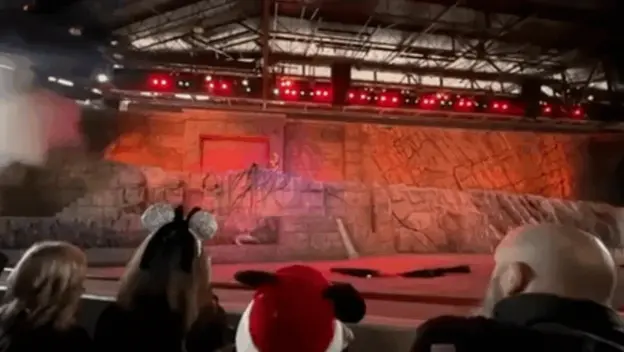 Nezgoda u Disneyu u SAD-u