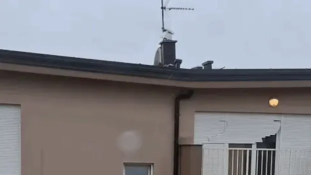 Vjetar ljuljao dimnjak