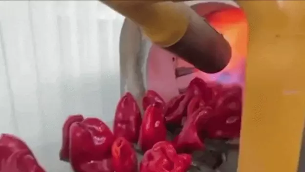 Pečena paprika