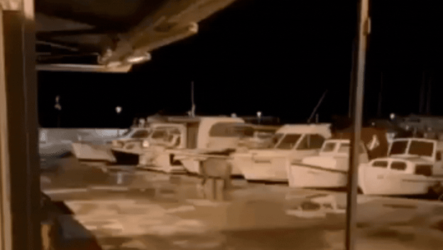 Vepar u šetnji Vodicama