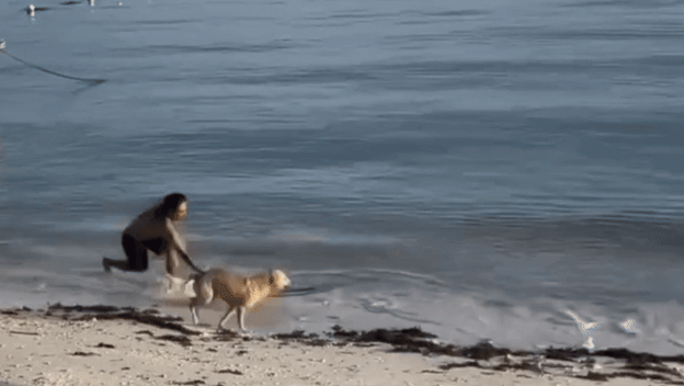 Muškarac u igri sa svojim psom na plaži