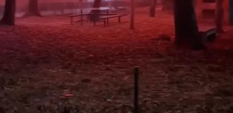 Neobična scena dekoracije u Nišu