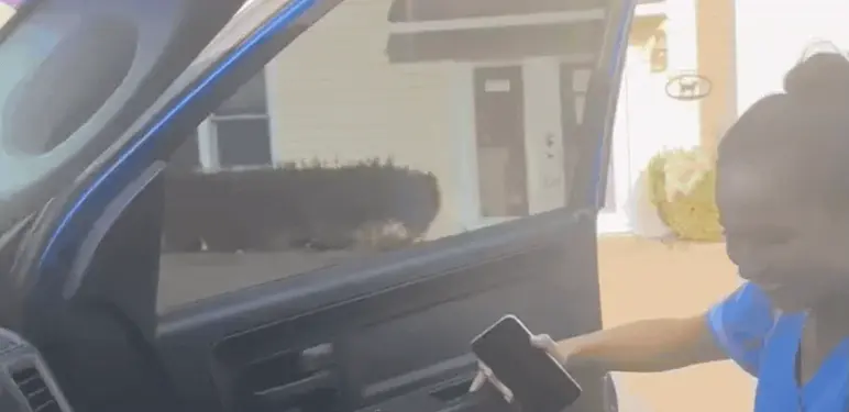 Čuvalica pasa nakon posla