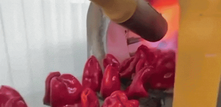 Pečena paprika