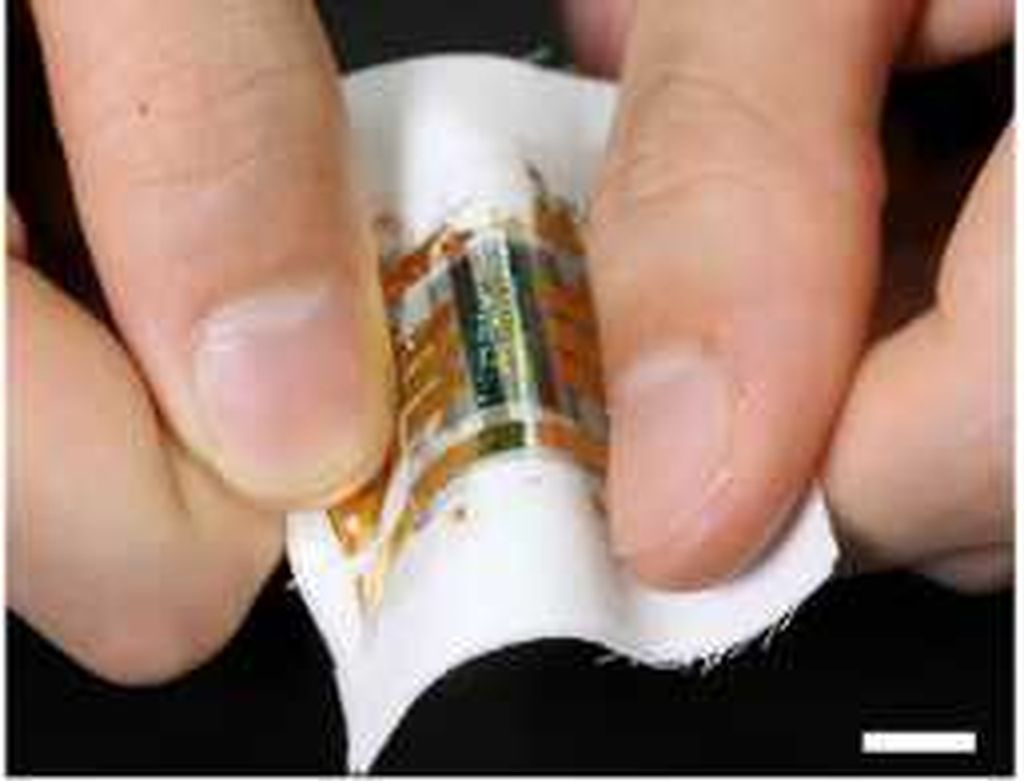 Solarne ćelije (Foto: Thinkstock)