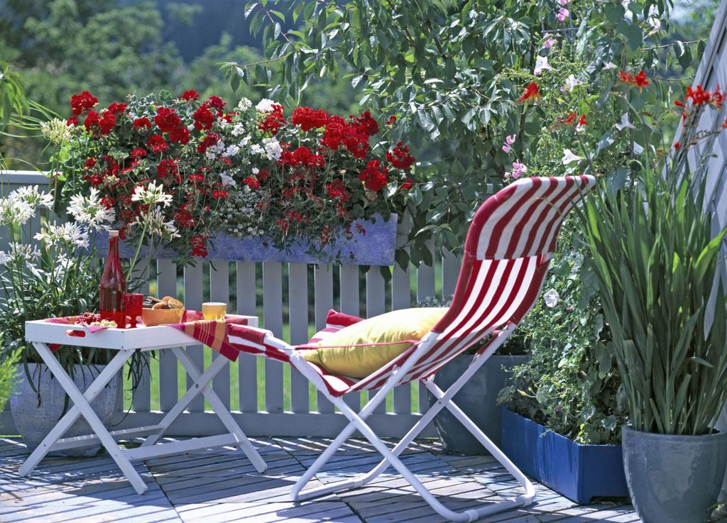 Krasne pelargonije krase mnoge balkone - 3