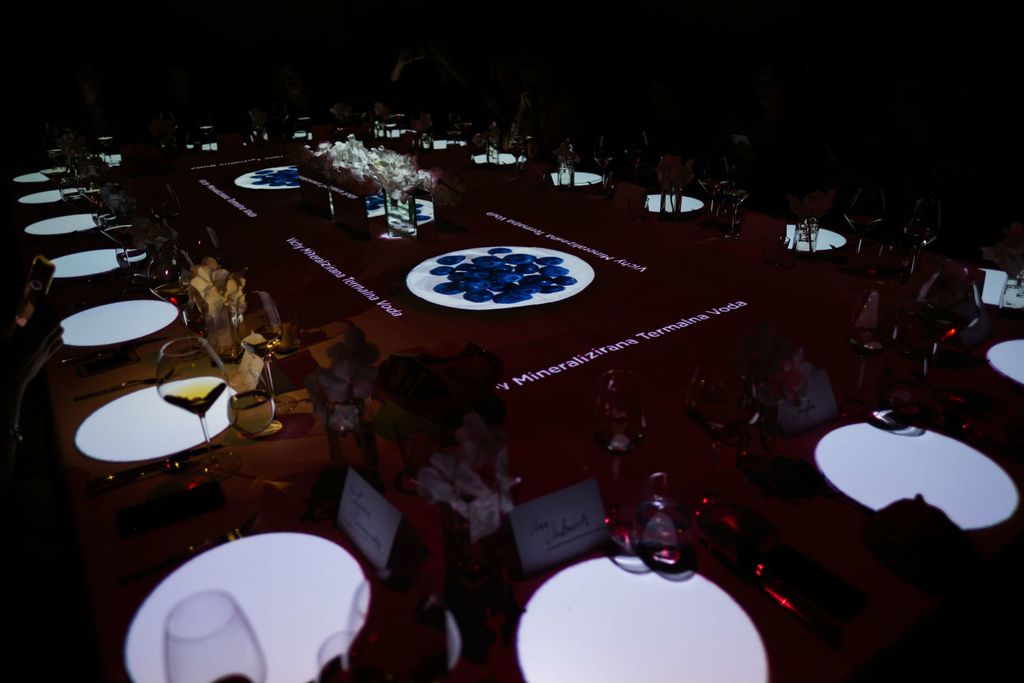 Na ekskluzivnoj i prvi put predstavljenoj 3D mapping večeri u restoranu Dubravkin put, Vichy je predstavio četiri linije svojih proizvoda - 14