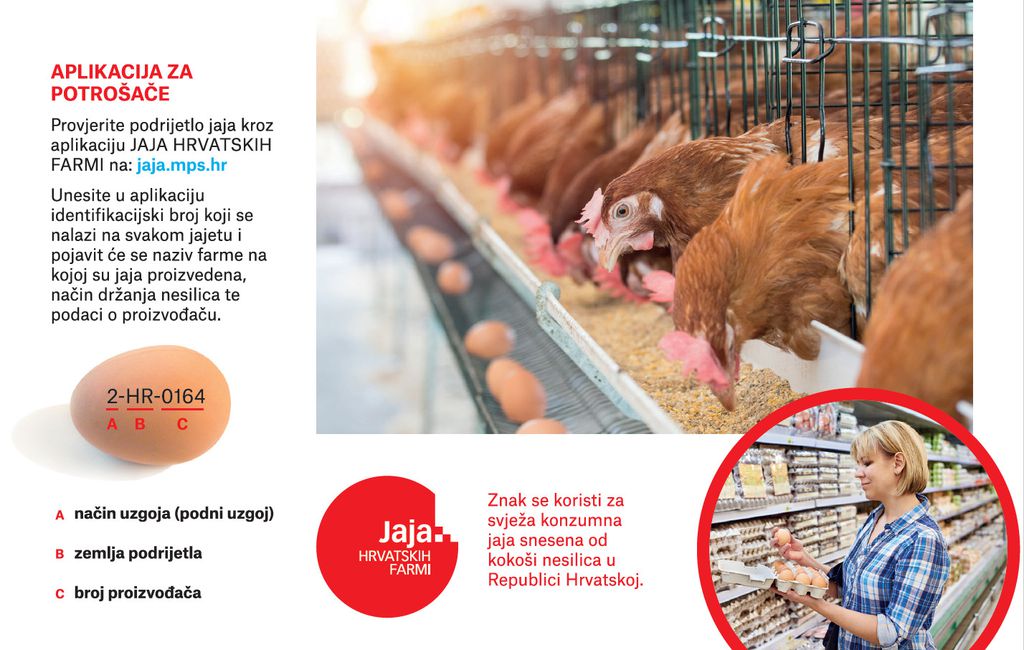 Kako prepoznati od kud su jaja (Foto: Ministarstvo poljoprivrede)