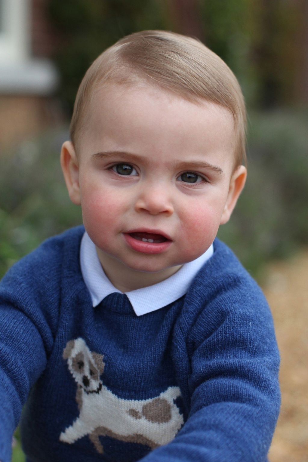 Princ Louis (Foto: Profimedia)