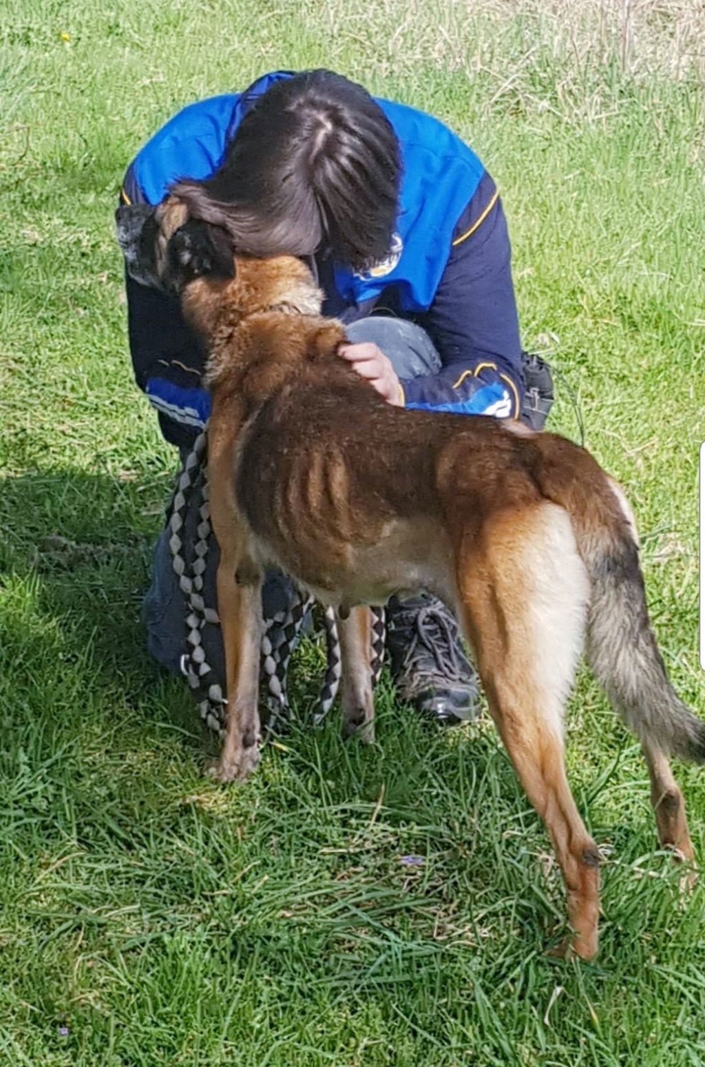 Belgijska ovčarka Alfa iz Dumovca treba našu pomoć - 9