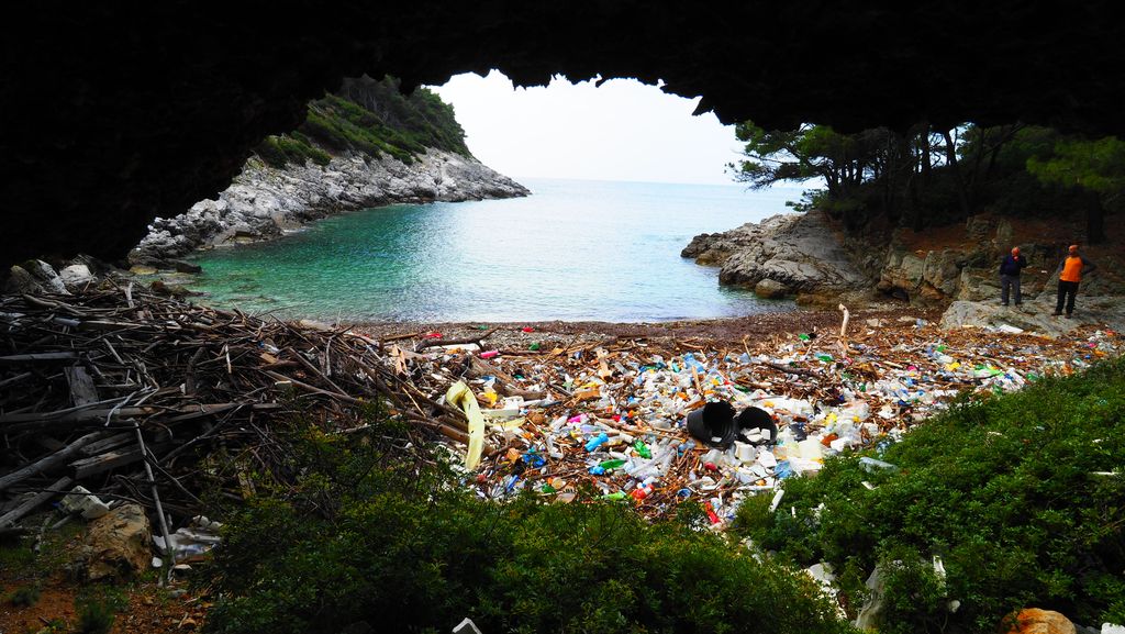 Akcija čišćenja plaže Grabova na otoku Mljetu (Foto: Udruga Zelene stope) - 3