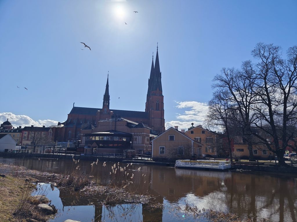 Slikano sa Vivo X90 Pro_2 - 8