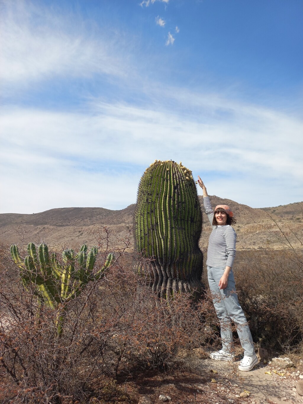 Tierra Blanca, država Guanajuato