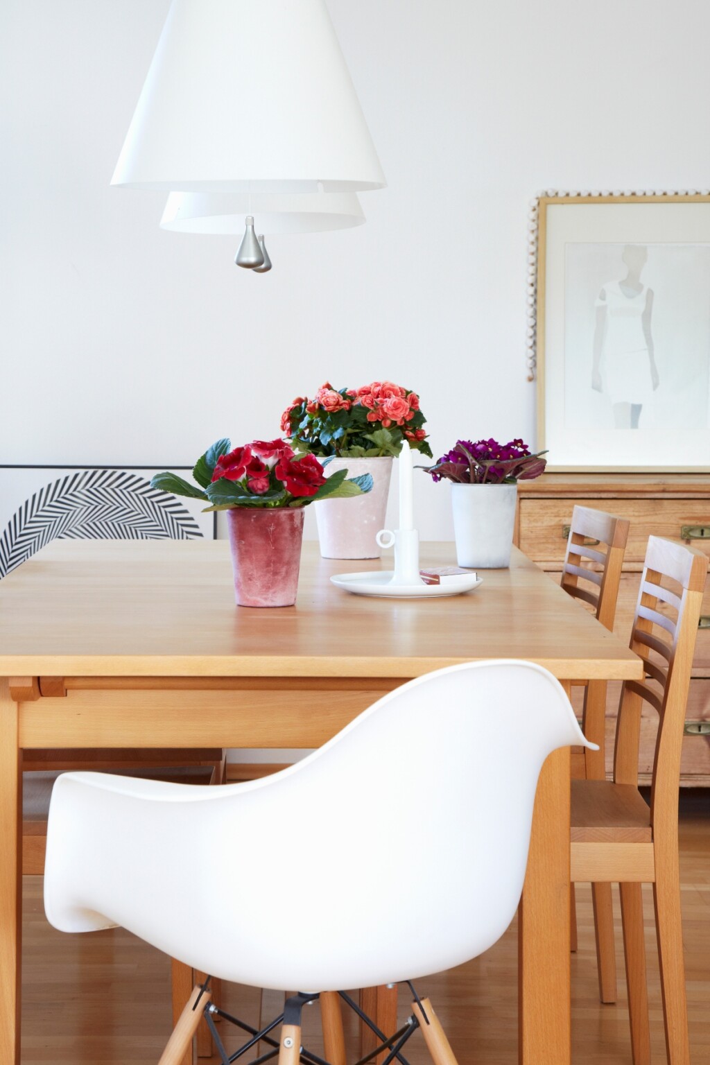 Afričke ljubičice lijepo izgledaju u kombinaciji s drugim cvijećem