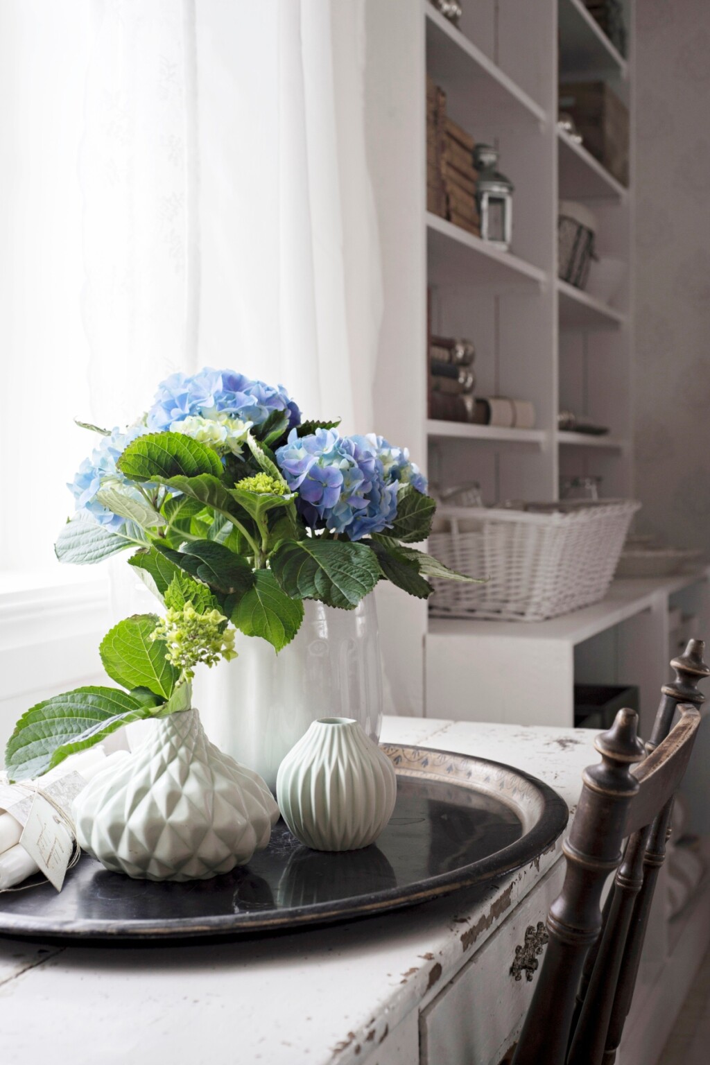 Plave hortenzije divan su ukras doma