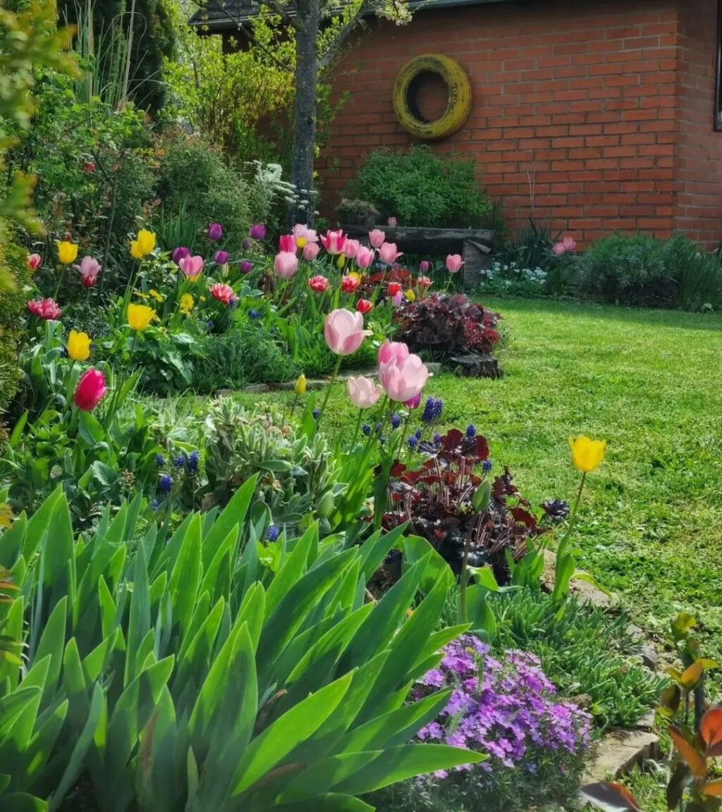 Marina iz Đakova u svom je dvorištu uredila pravu zelenu bajku