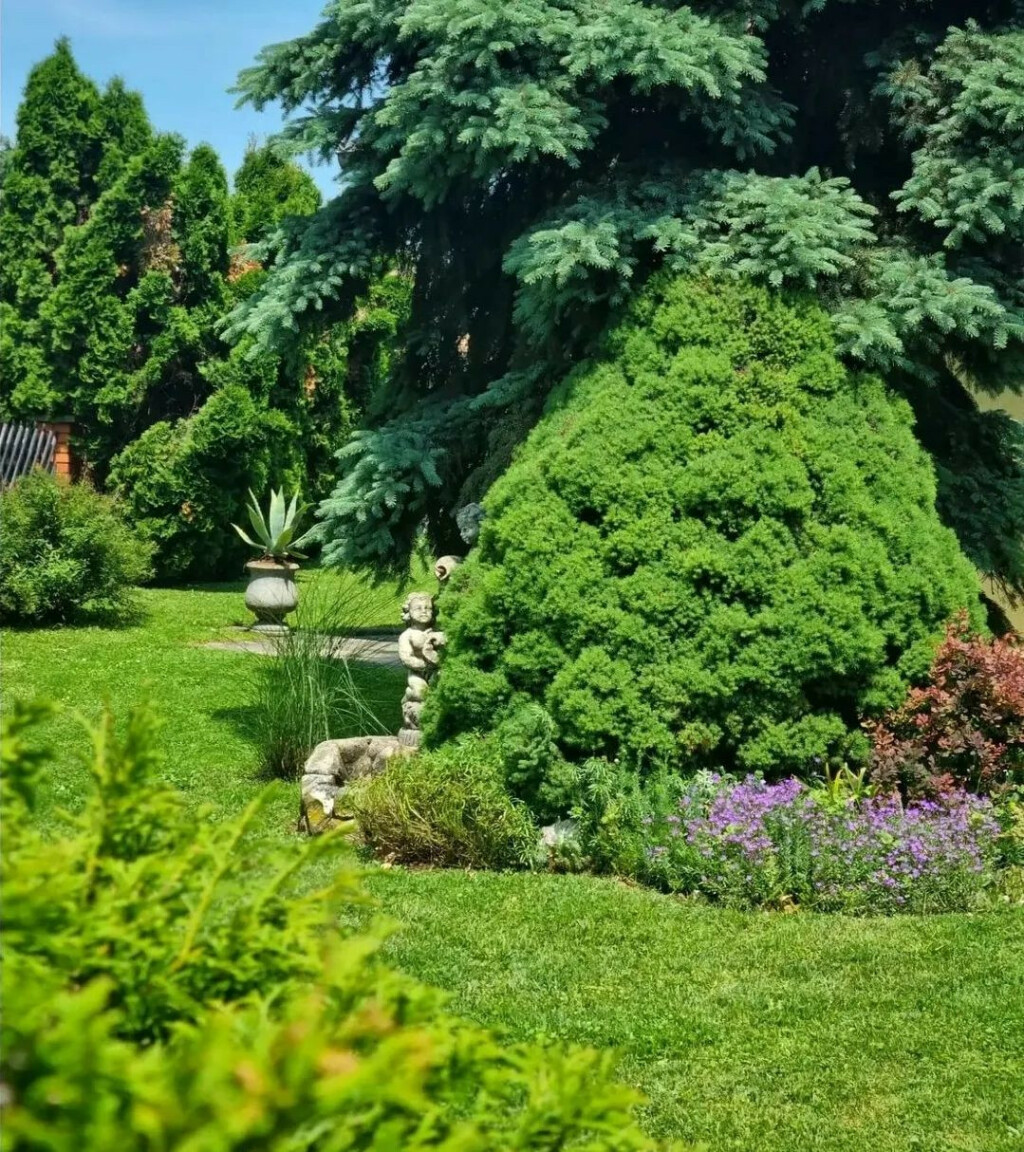 Dvorište Marine Matijašević jedno je od najljepših u Đakovu - 9