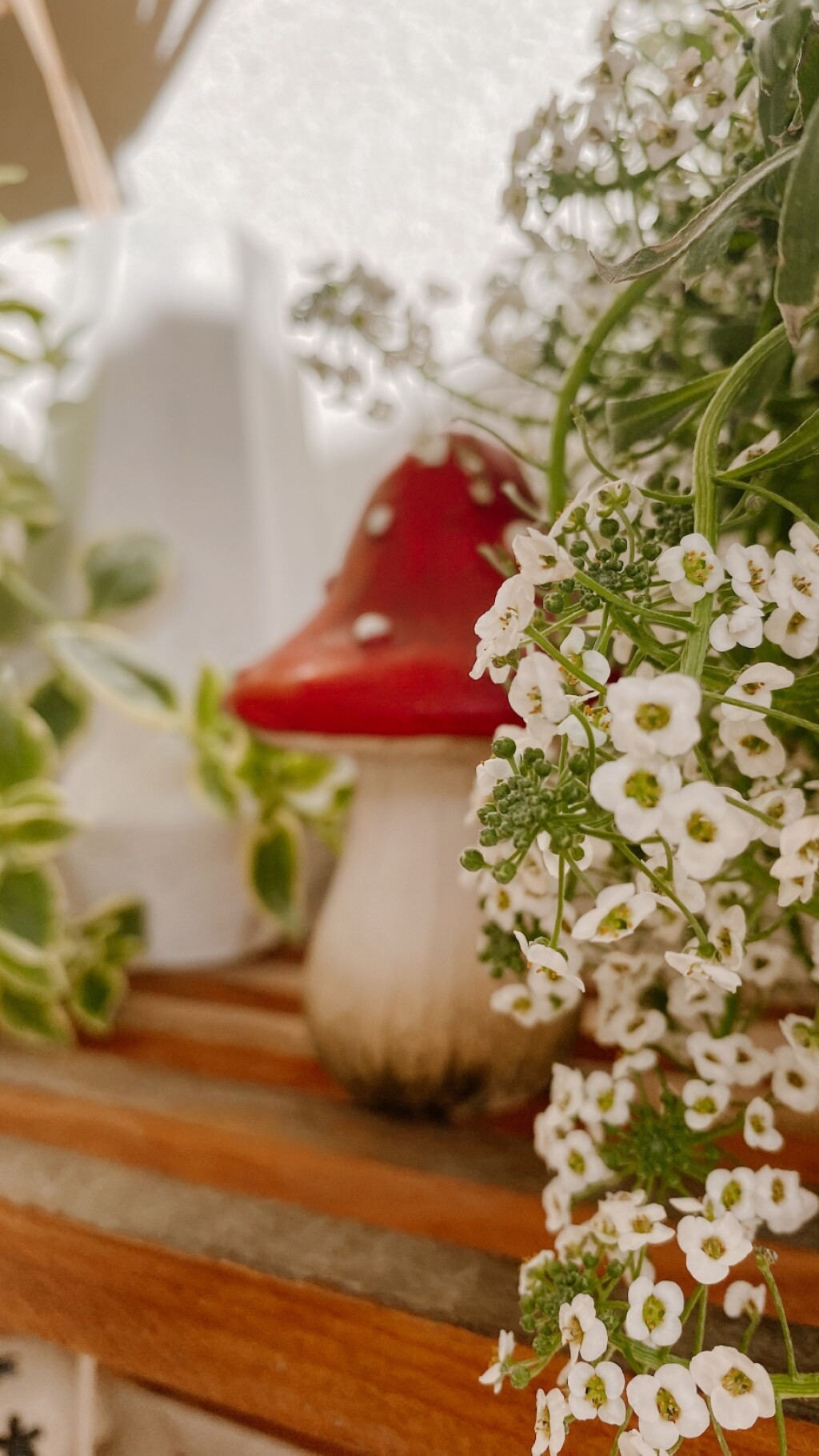 Maleni balkon Tanje iz Novog Sada