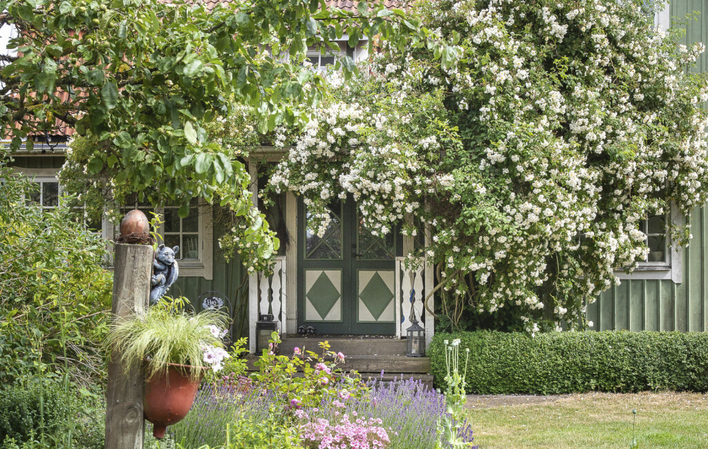 Dvorište kao iz priče ima i malo jezero - 10