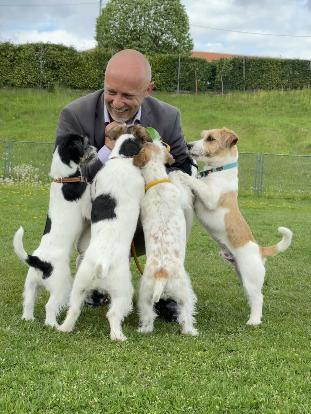 Nenad Bižić iz Velike Gorice stručnjak je za pasminu jack russell terijer - 3
