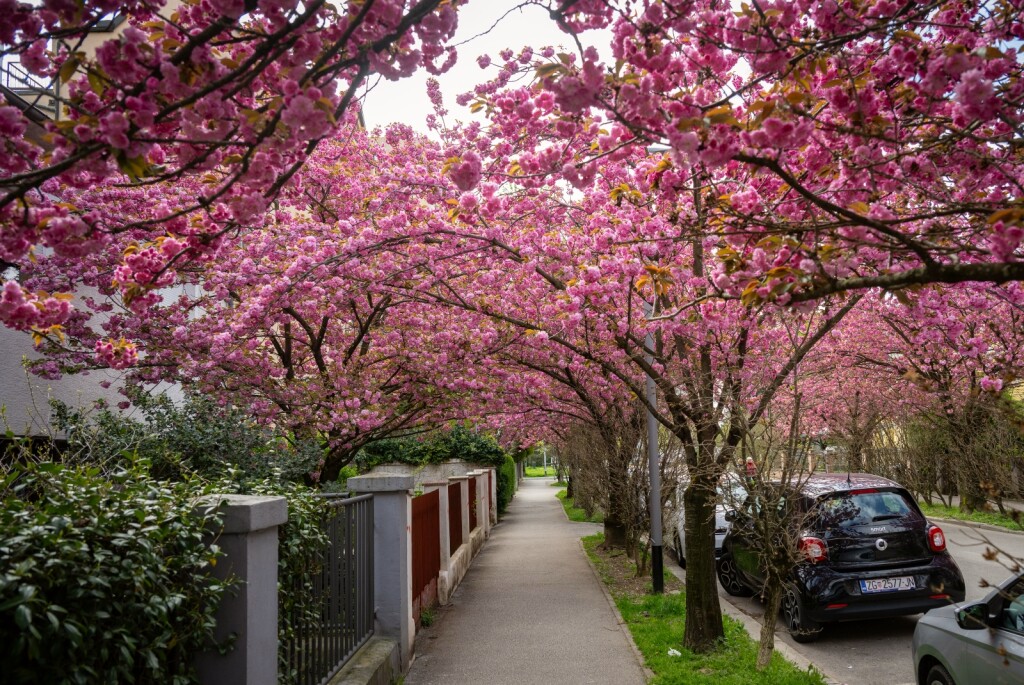 Šulekova ulica u Zagrebu