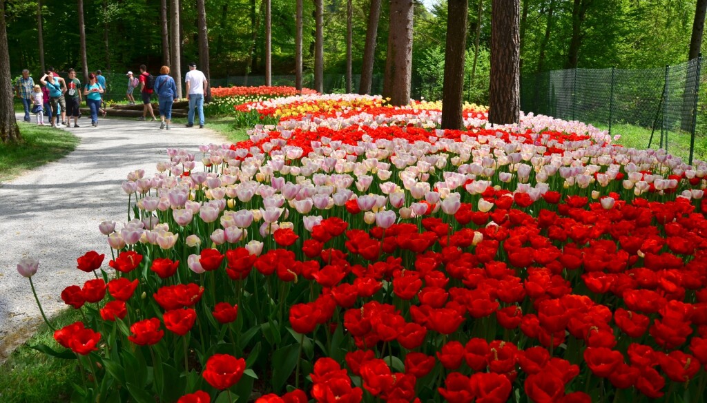 Volčji Potok u Sloveniji