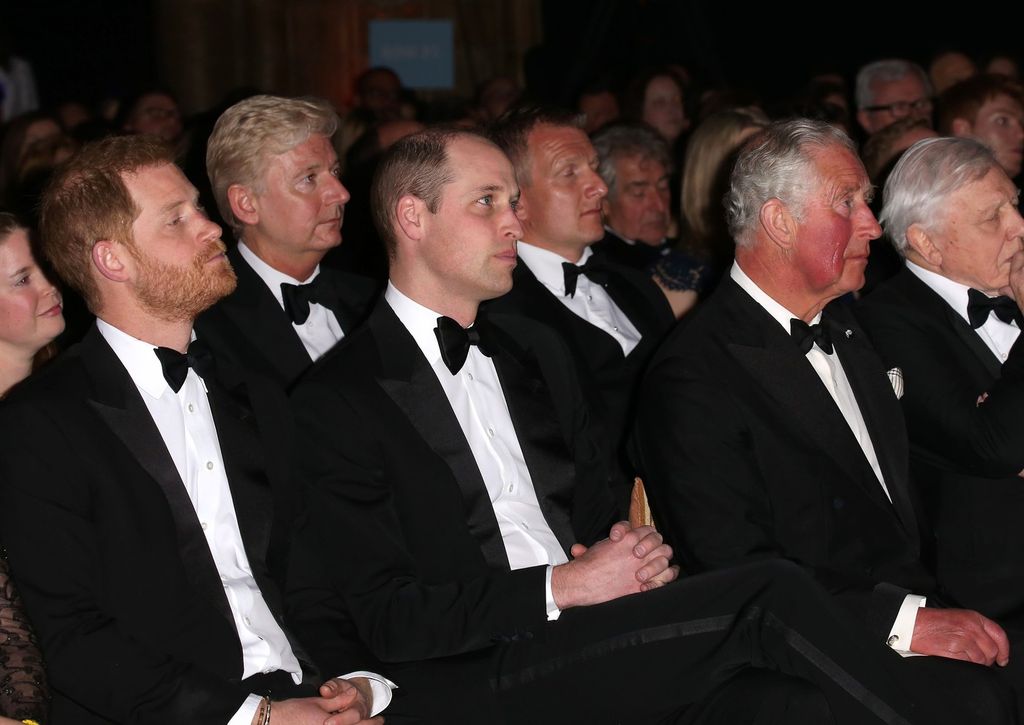 Princ Harry, princ William, kralj Charles