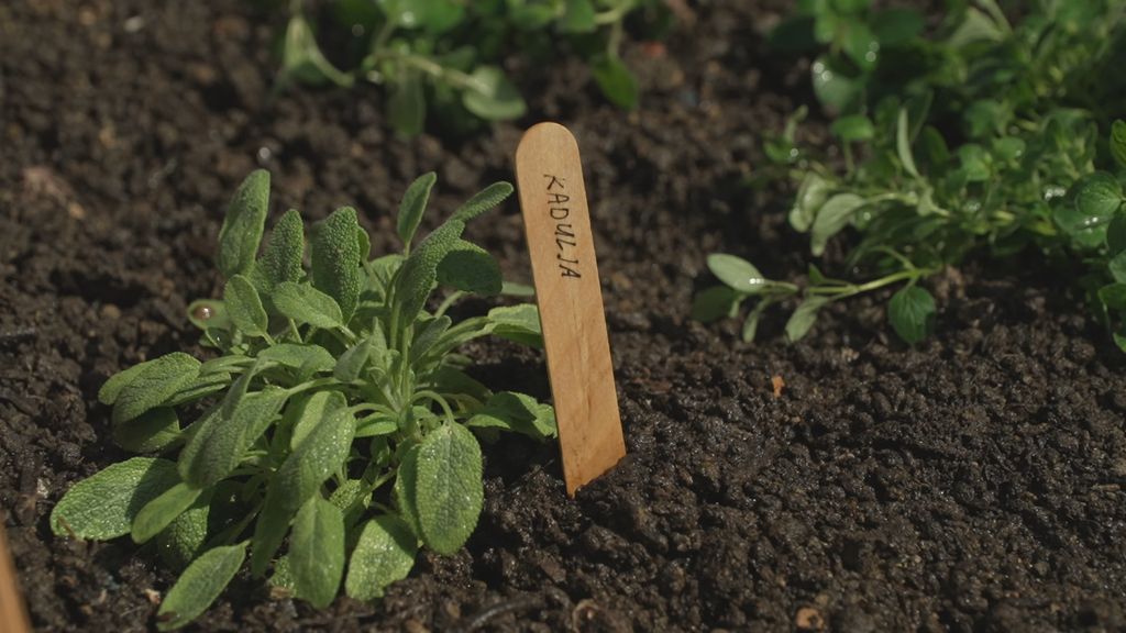 In Magazin: Mario Mandarić - 4