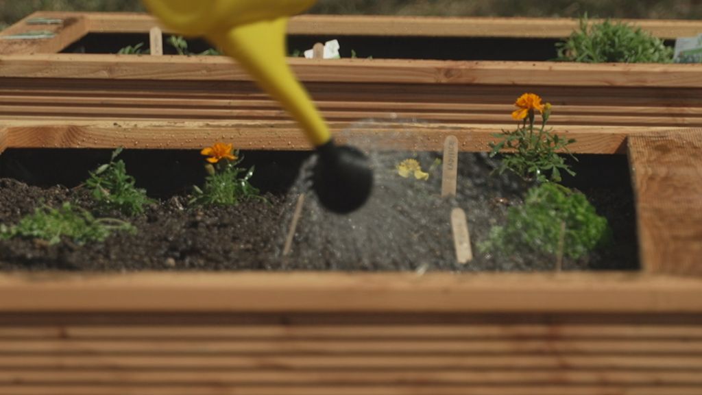 In Magazin: Mario Mandarić - 5