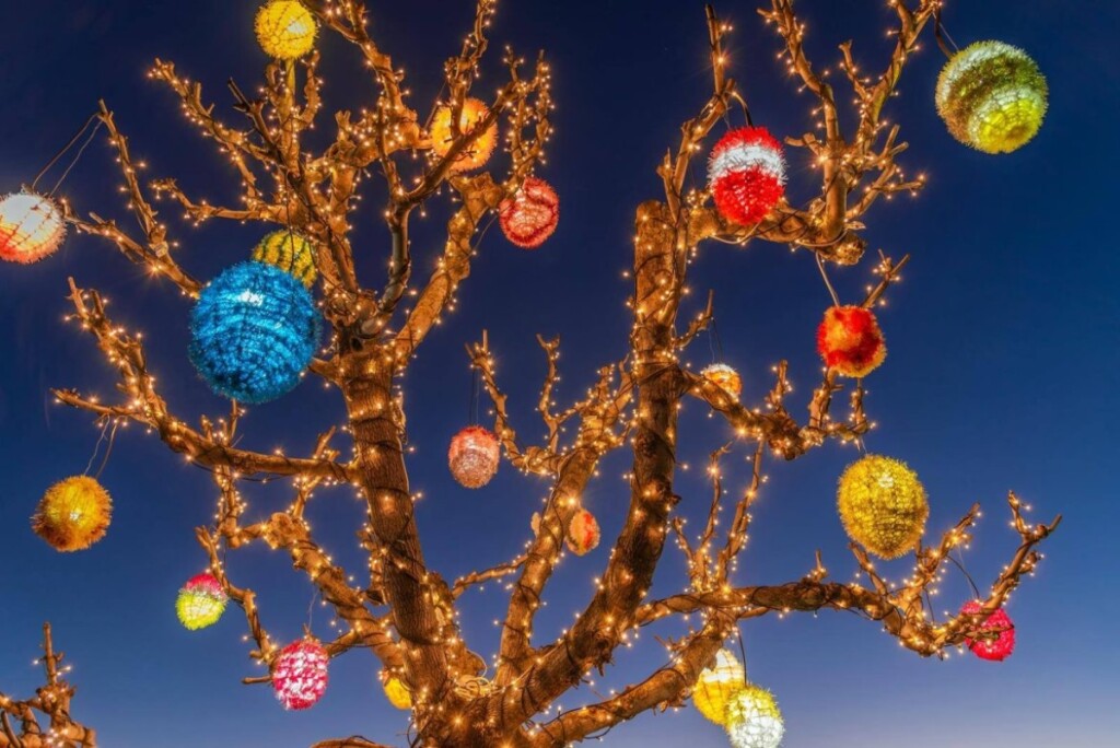 Uskrsna čarolija svjetla obitelji Salaj