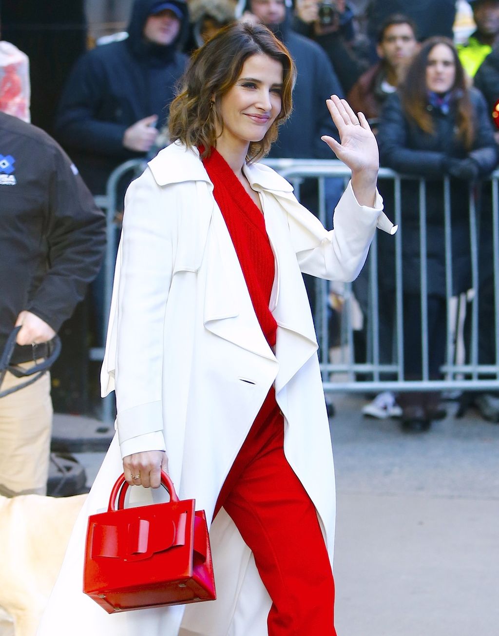 Cobie Smulders