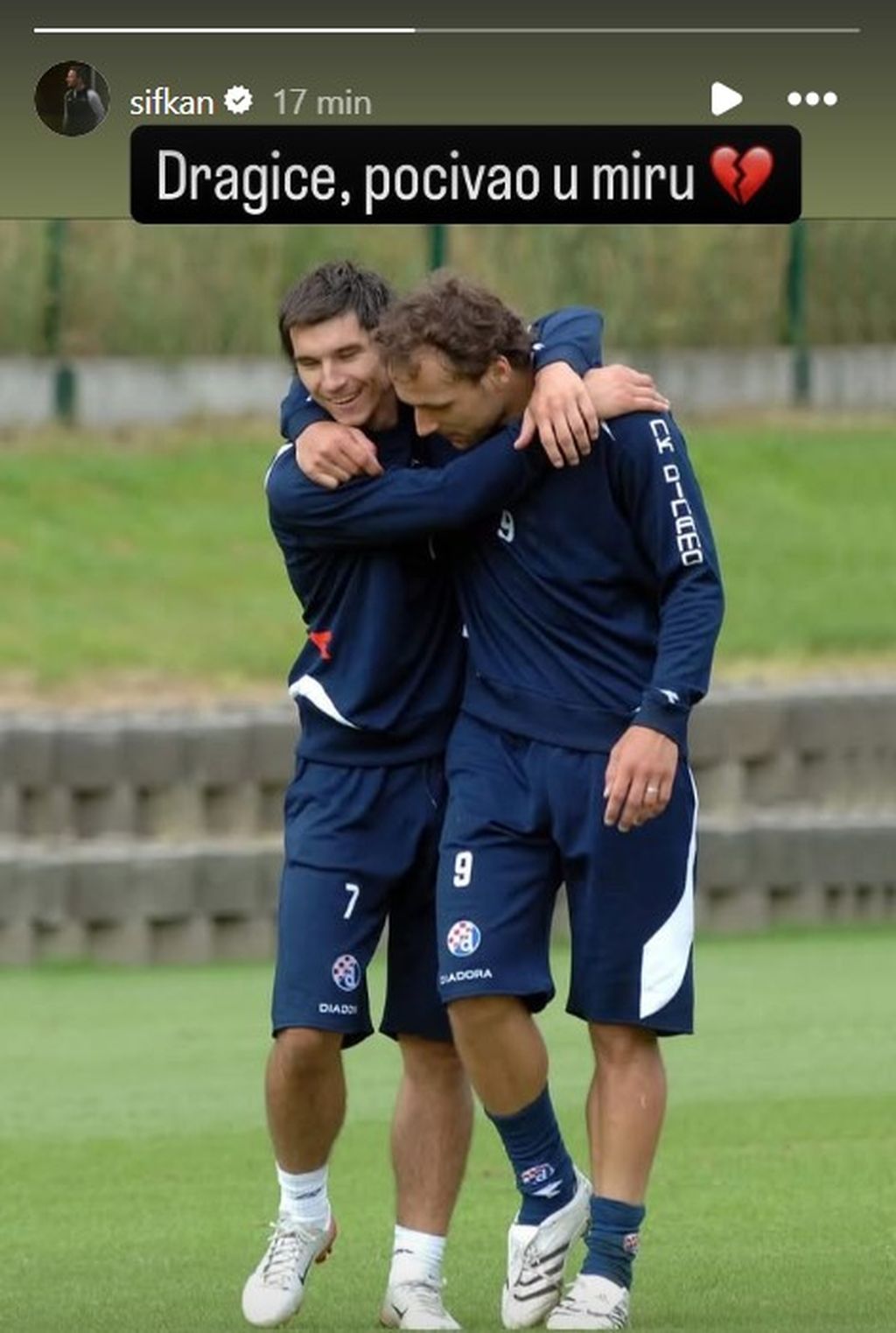 Objava Gordona Schildenfelda