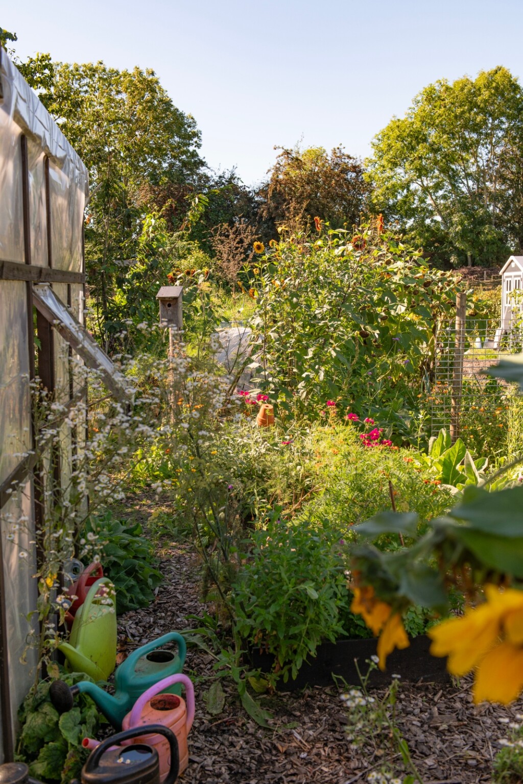 Kaotično vrtlarstvo