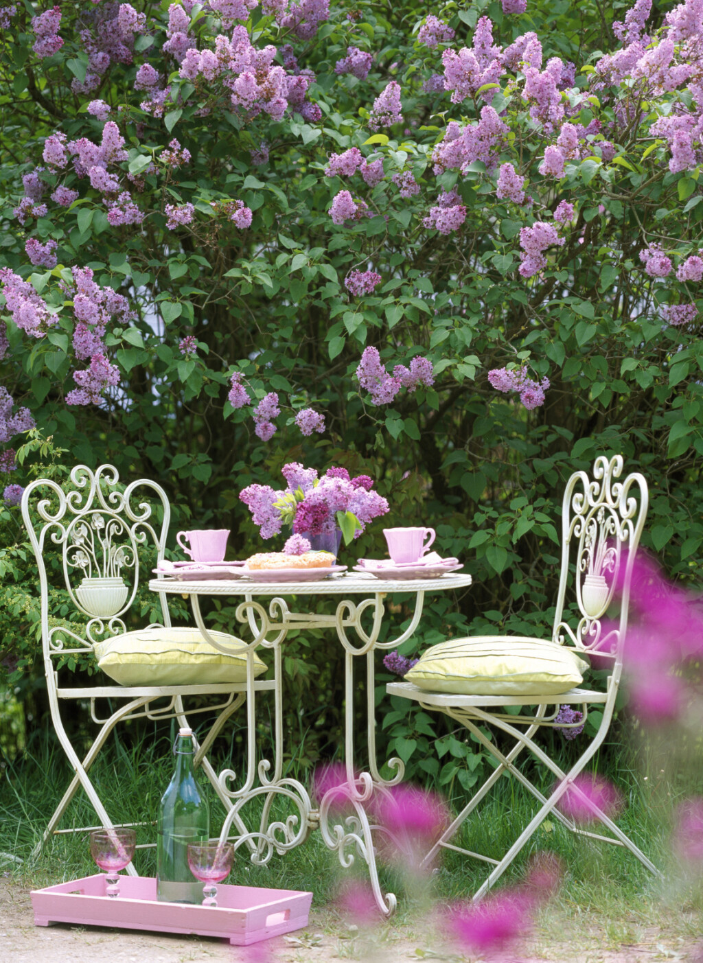 Dvorišta u kojima bi se ljubitelji jorgovana osjećali kao u sedmom nebu - 7