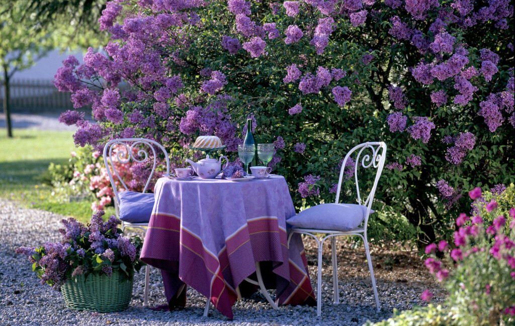 Dvorišta u kojima bi se ljubitelji jorgovana osjećali kao u sedmom nebu - 8