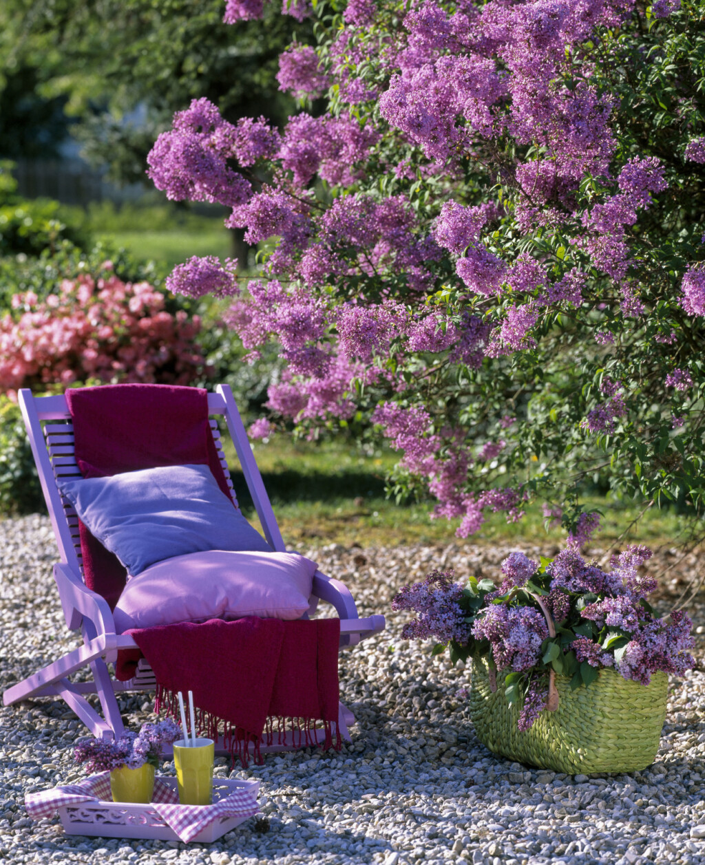 Dvorišta u kojima bi se ljubitelji jorgovana osjećali kao u sedmom nebu - 10