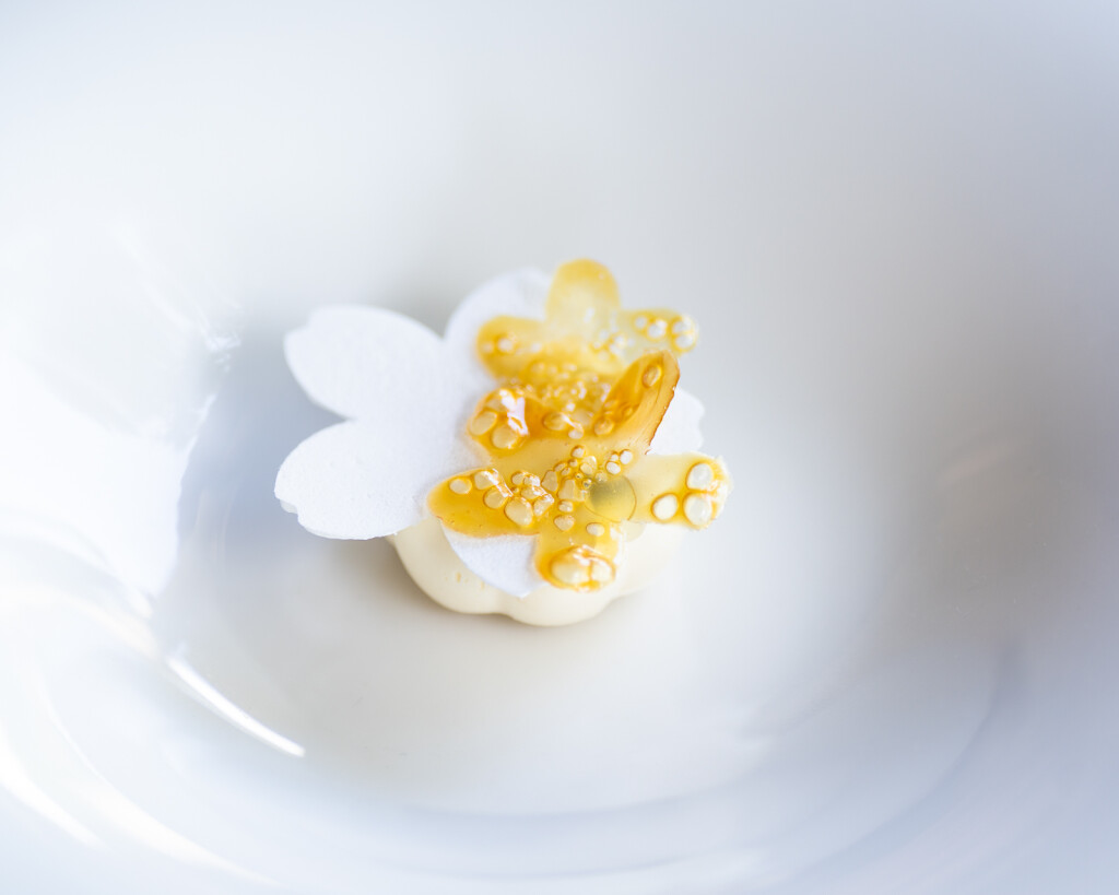 Desert - biskvit od miso-graha s mousseom od skute i karamelom s timut paprom.