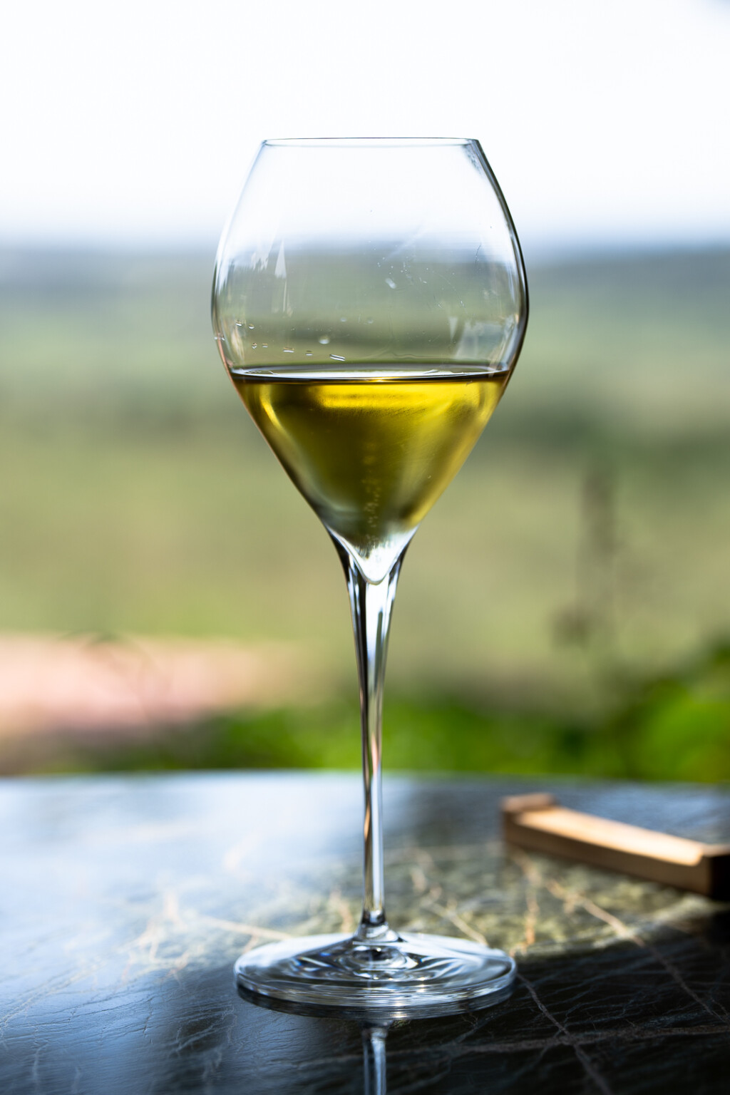 Ne propustite kušati i Boškinac vina
