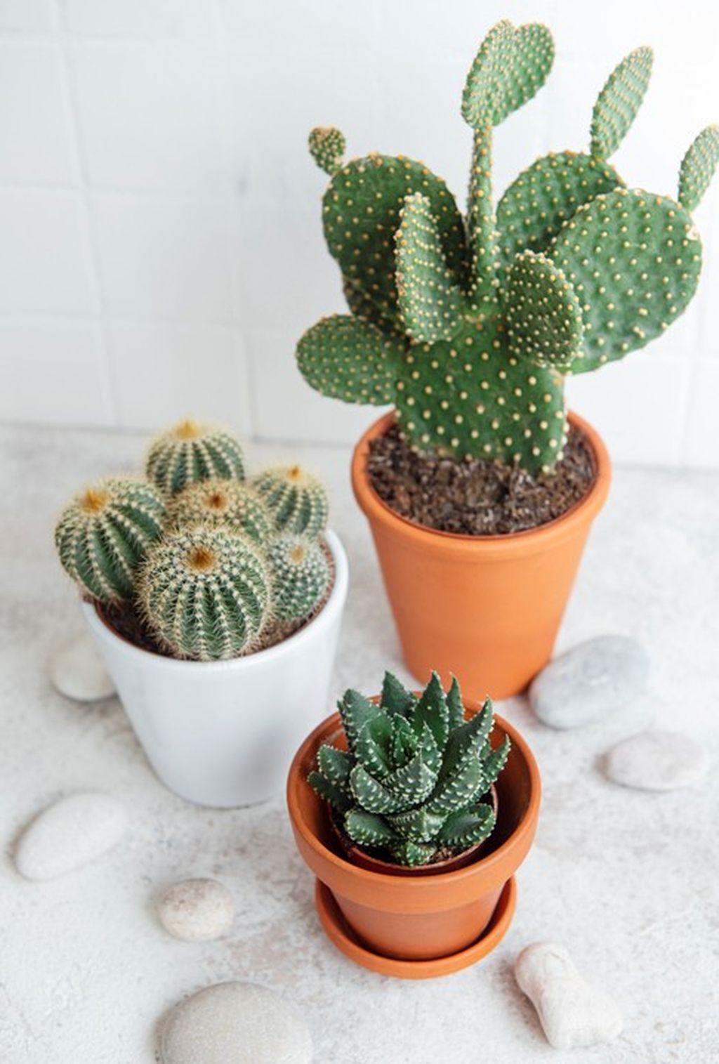 Visoke temperature ljeti mogu biti neizdržive