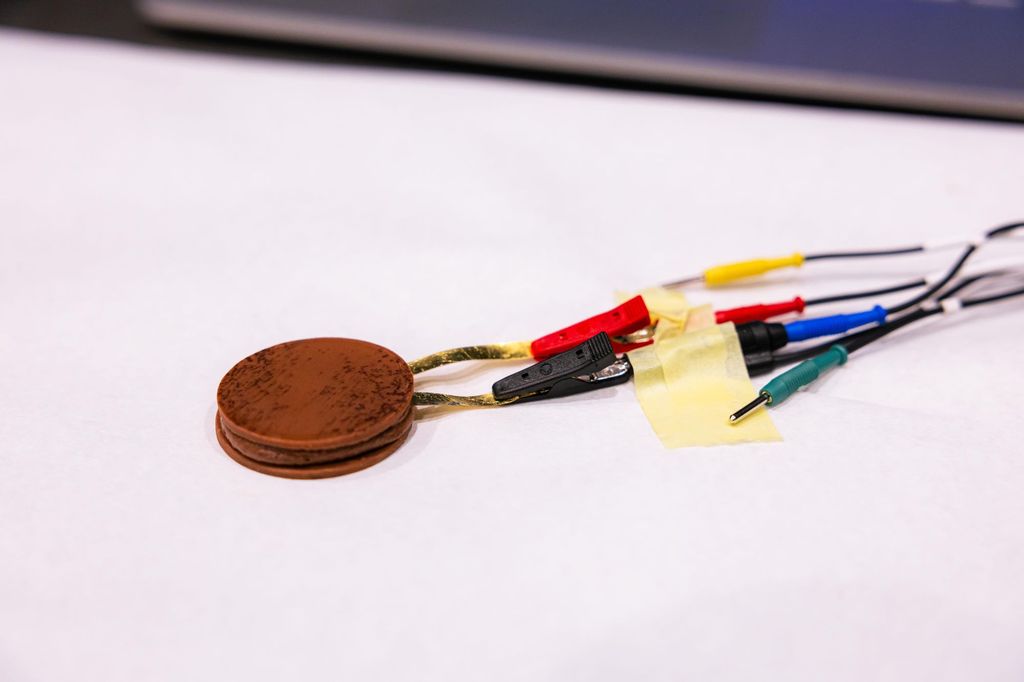 Valerio Galli i Julien Boutonnet