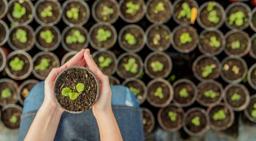 Krumpir uzgojen u svemiru