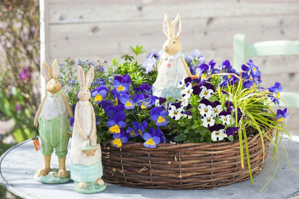 Maćuhice kao dio uskrsne dekoracije