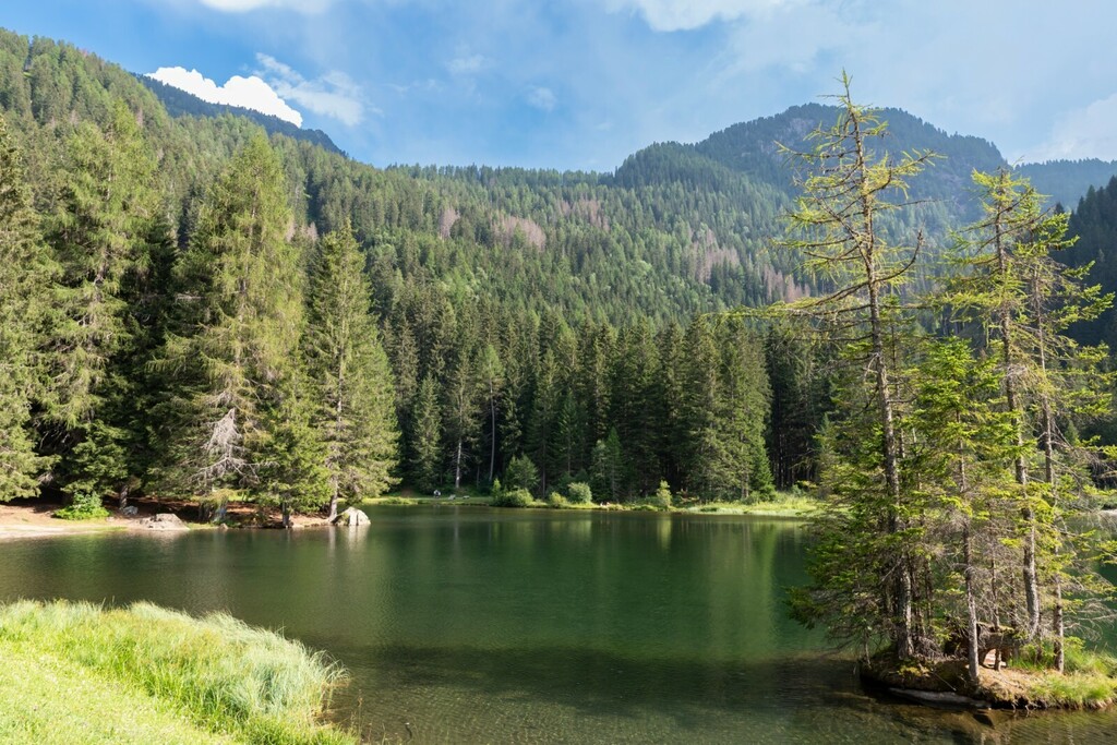 Lago dei Caprioli, Val di Sole